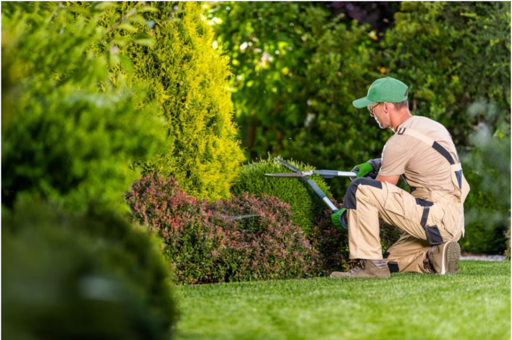 lawn care service