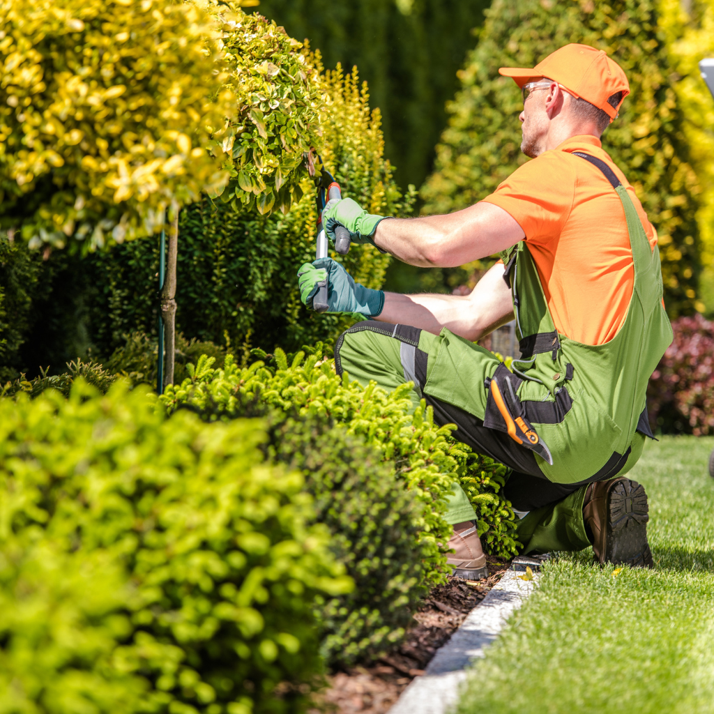 Landscaping Company in Troutman, NC