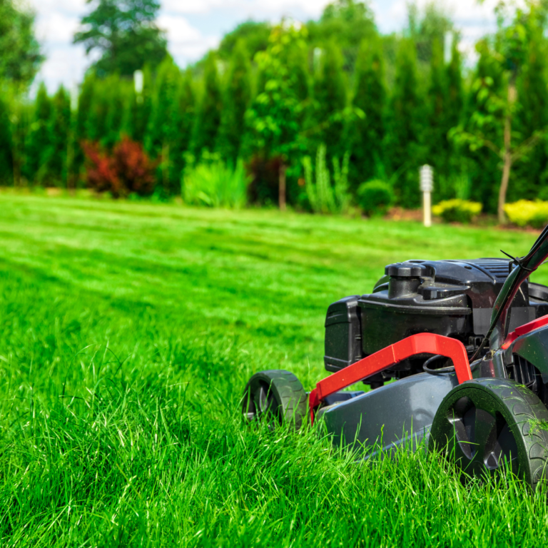 Lawn Mowing Services in Troutman NC
