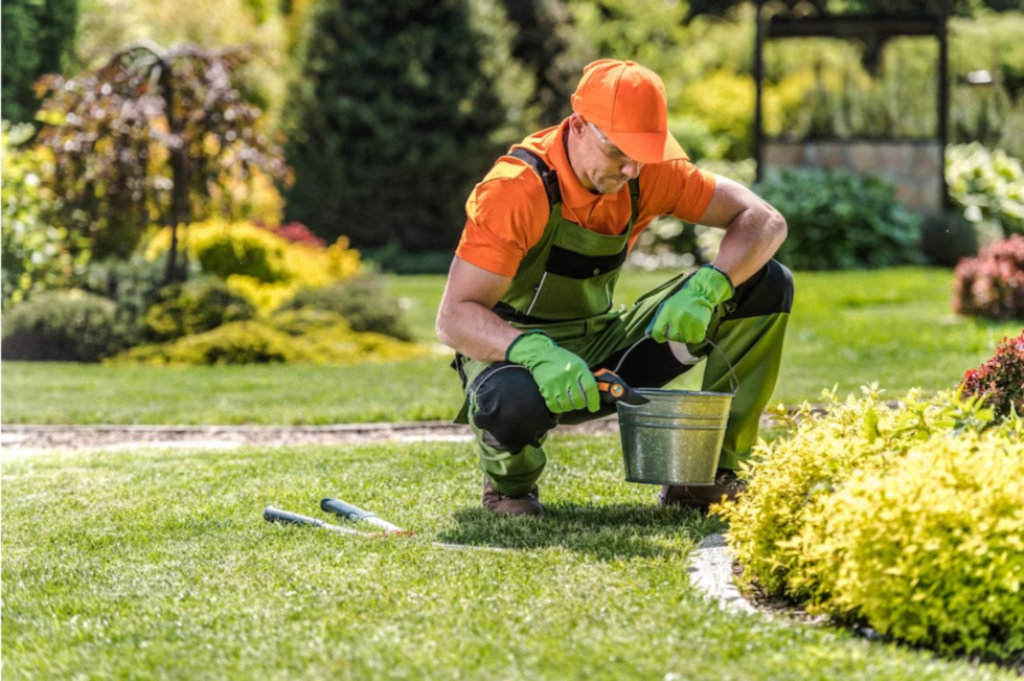 the Five Steps for Lawn Care