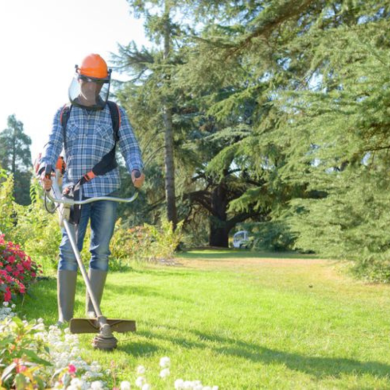 Lawn Fertilization