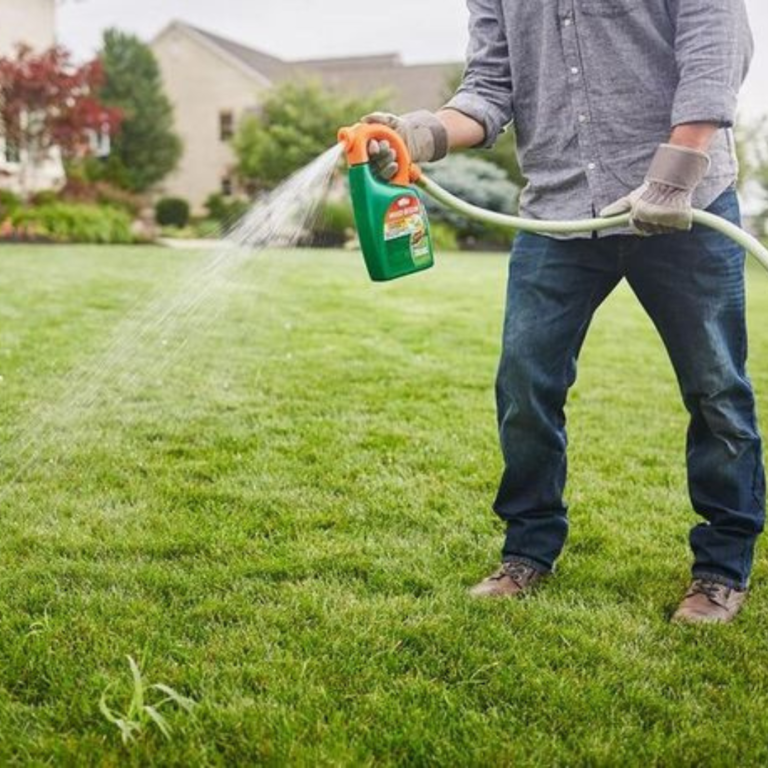 Watering in Lawn