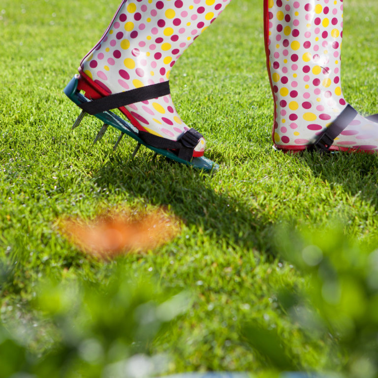 How to Aerate Your Lawn - Lawn Pro of the Carolinas