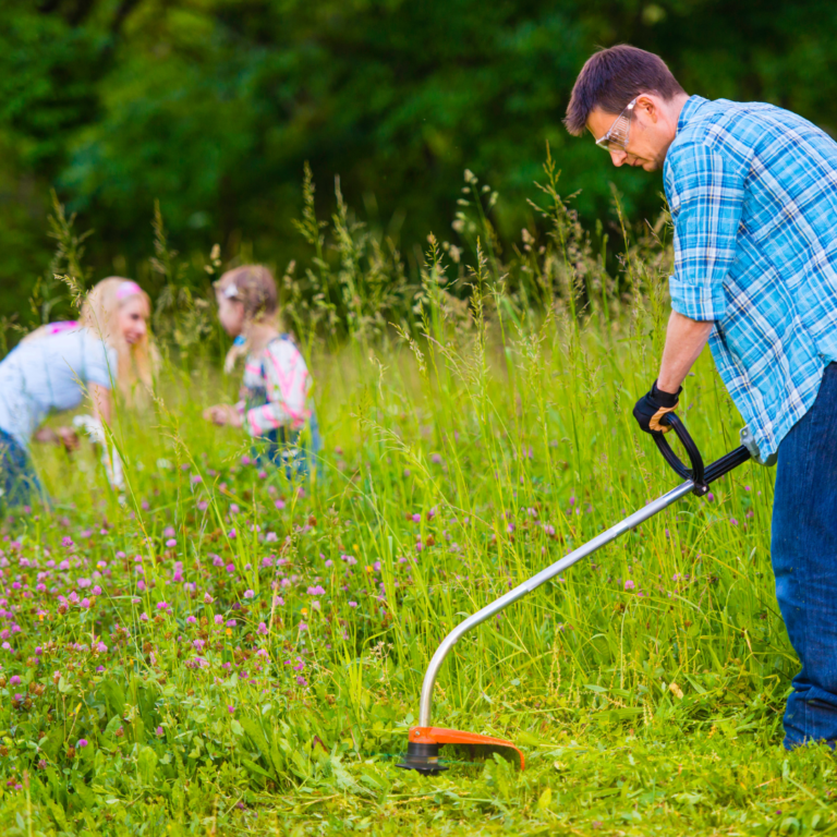 Weed Control Services using Advanced Equipment