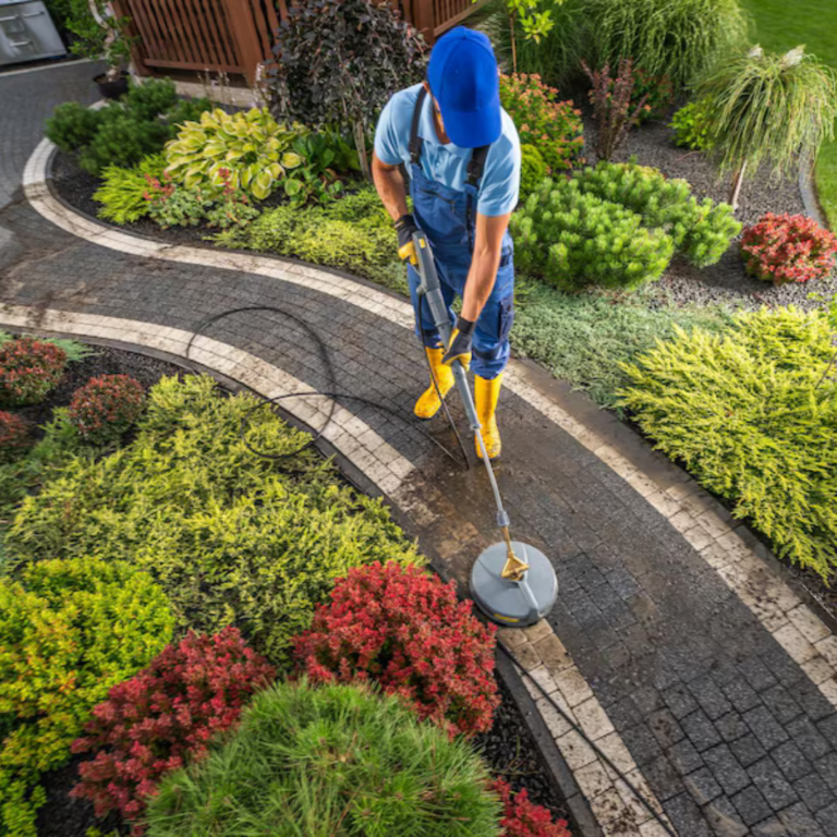 Hardscape Cleaning - Lawn Pro of the Carolinas