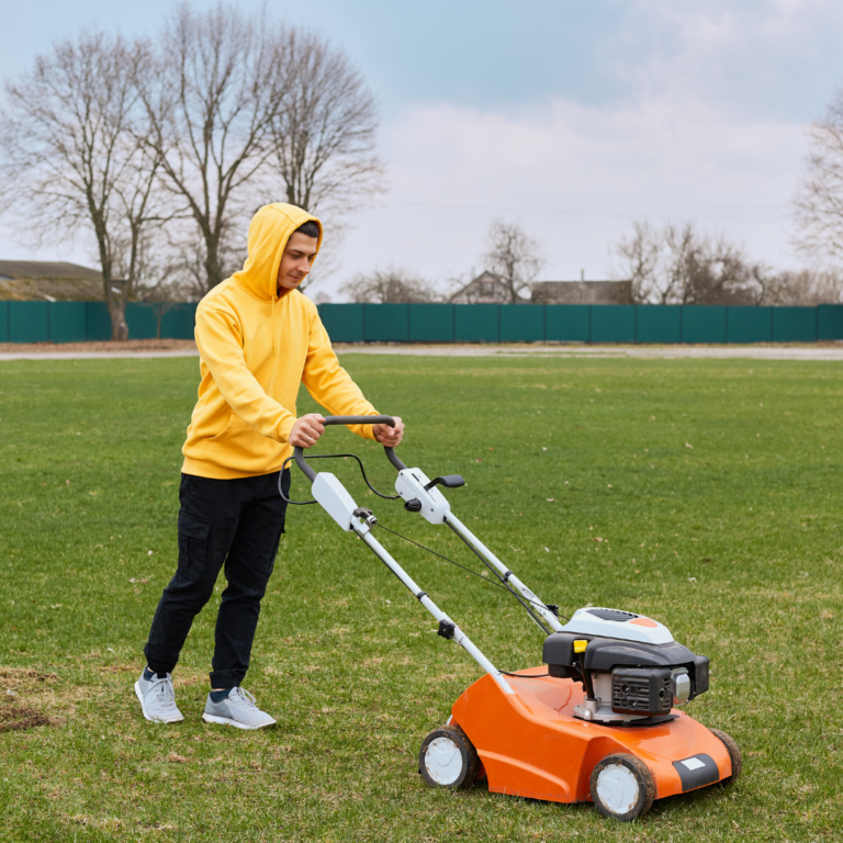 Preparing Lawn for Winters