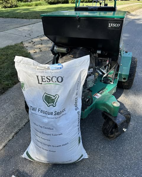 Seed for Lawn Aeration