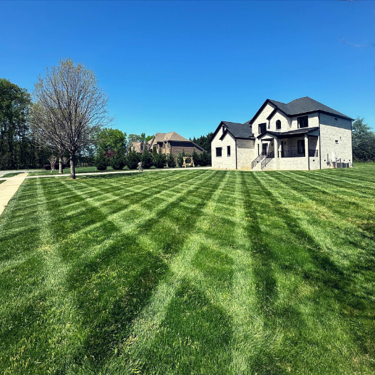 Yard Aeration Services