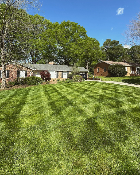 Transform Backyard