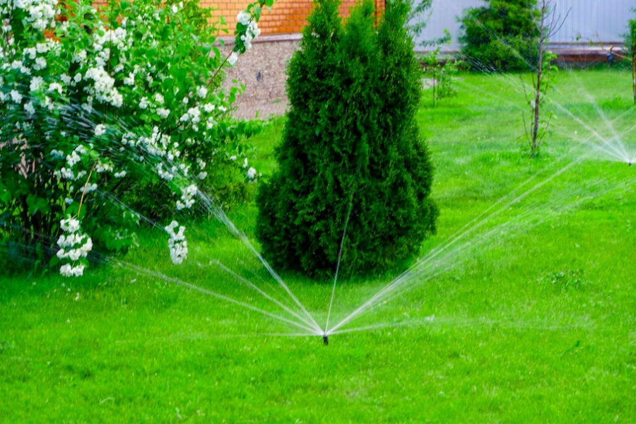 Set up smart Irrigation