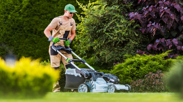 Local Lawn and Landscape Service Experts