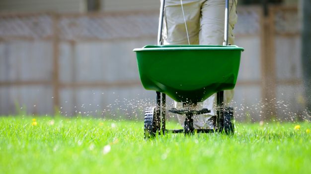 Weed Control and Fertilization Services