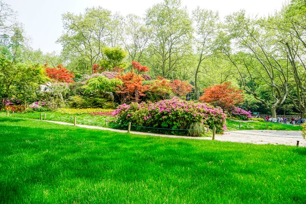 Landscaping Services Tailored for Mazeppa Homes