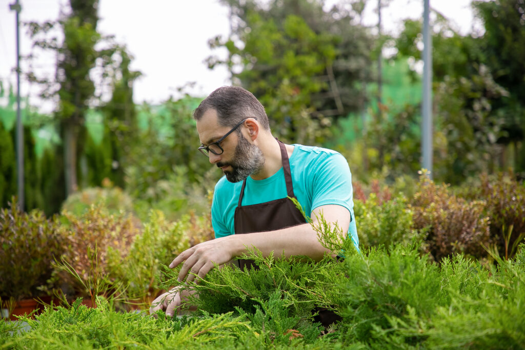 Guide to Aeration and Overseeding for a Healthier Lawn