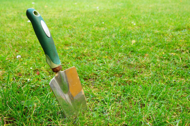 Lawn aeration in North Carolina