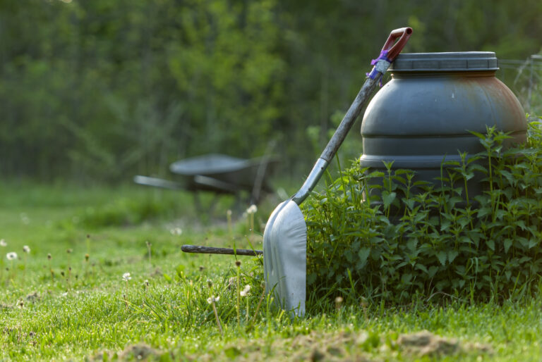 When to aerate your lawn