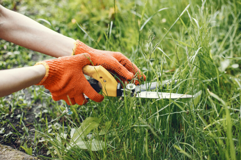 Improper Mowing Practices