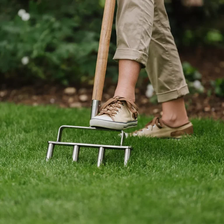 Signs your lawn needs aeration