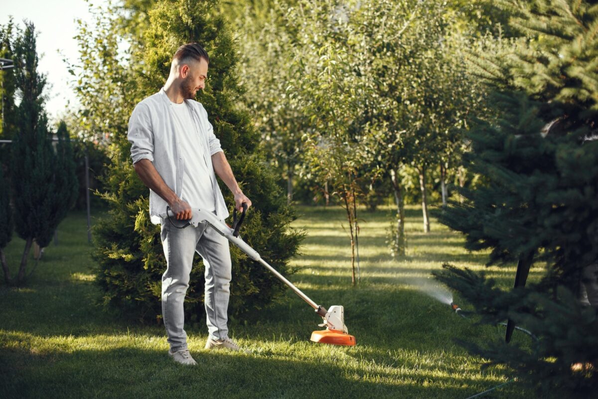 Why weeds are taking over your lawn in North Carolina