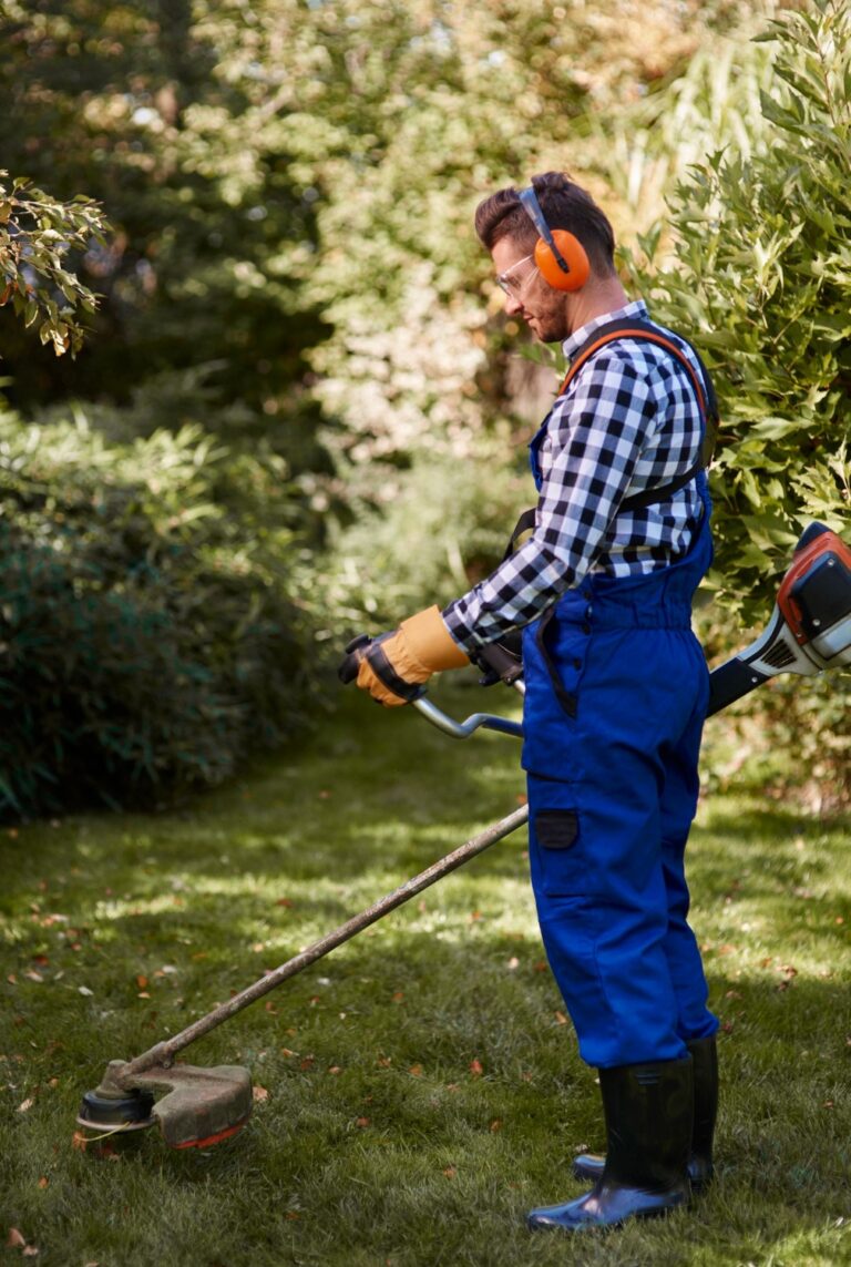 Common Lawn Weeds You May See in North Carolina