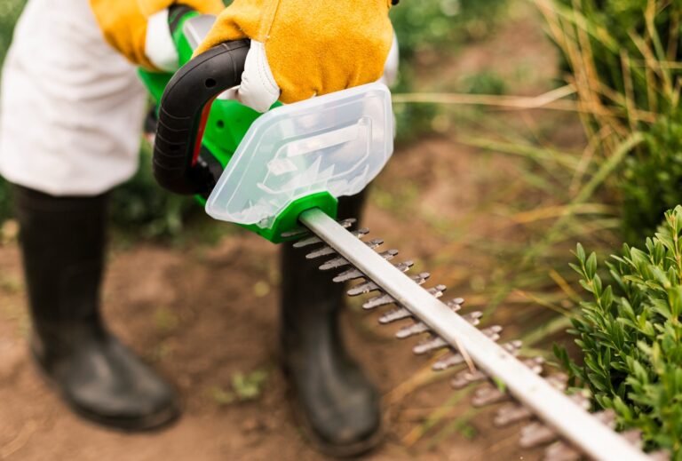 Lawn weed control and prevention in North Carolina
