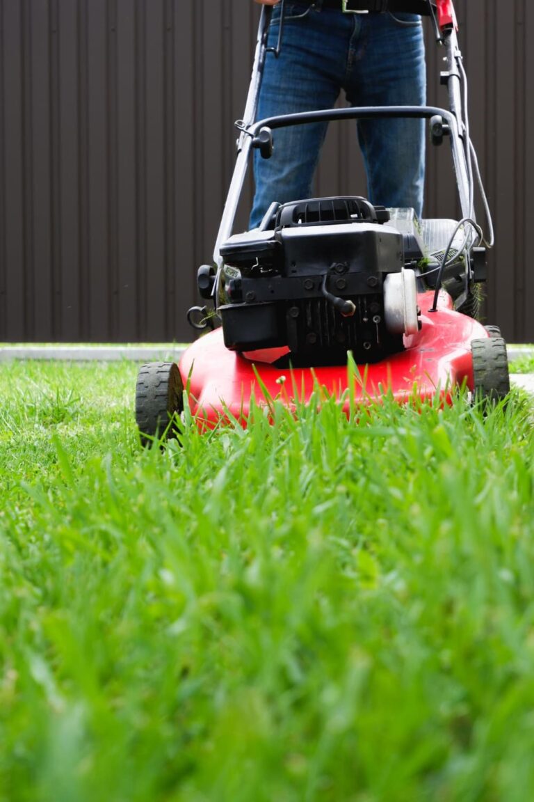 Ideal grass height