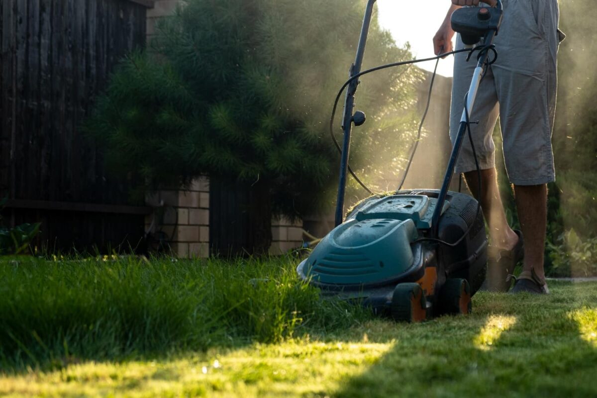 lawn mowing