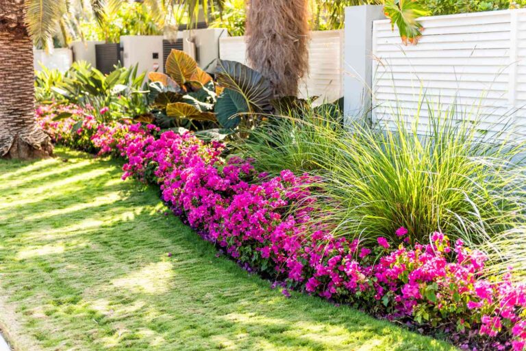 green lawn and landscaped planting