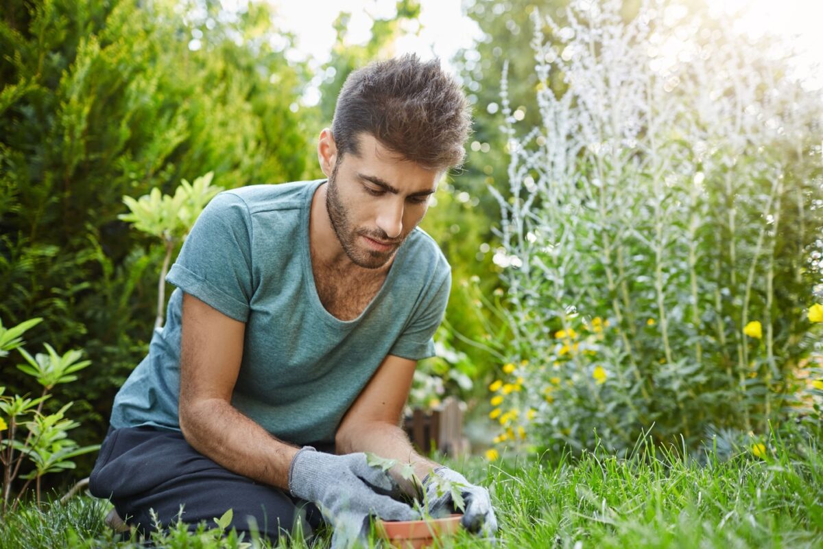 improve Lawn Health Throughout the Growing Season