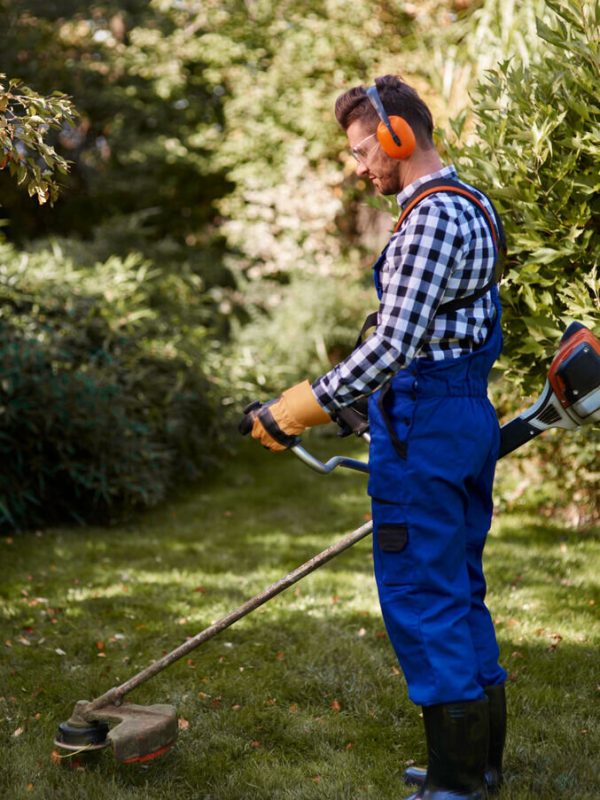 Lawn Care With the Seasons
