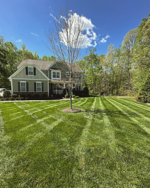 cornelius landscape design