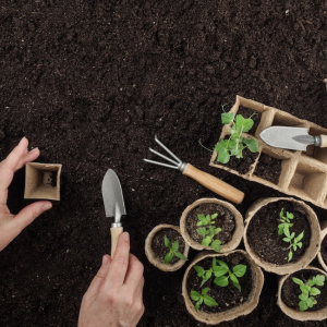 Improve the soil health of your backyard