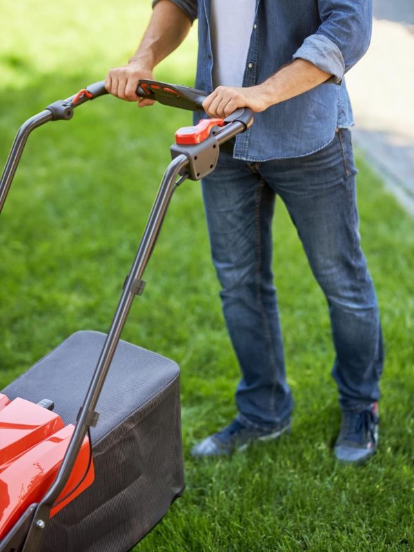 lawn care in Mooresville
