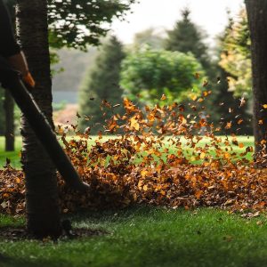 woman-operating-heavy-duty-leaf-blower_1153-7322